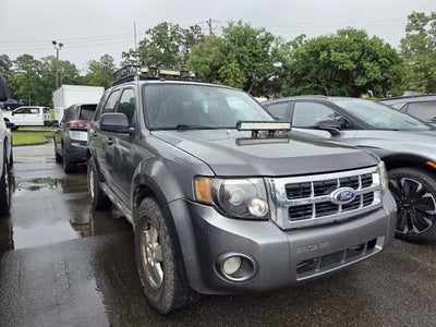 2010 Ford Escape XLT