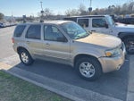 2007 Ford Escape Limited