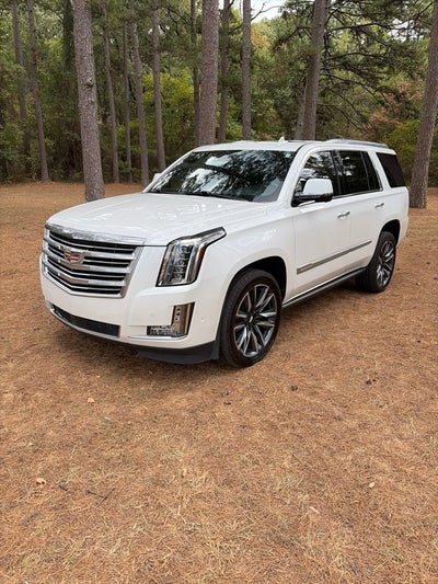 2020 Cadillac Escalade Platinum
