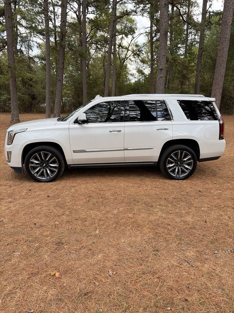 2020 Cadillac Escalade Platinum