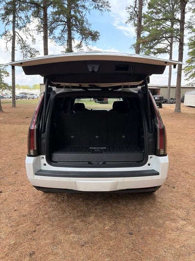 2020 Cadillac Escalade Platinum