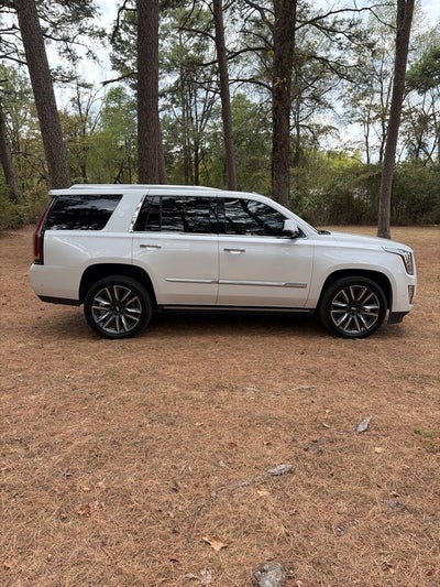 2020 Cadillac Escalade Platinum