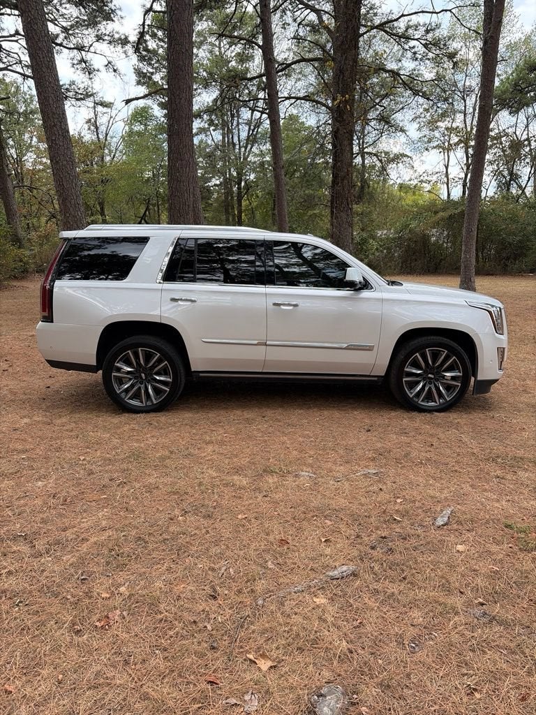 2020 Cadillac Escalade Platinum