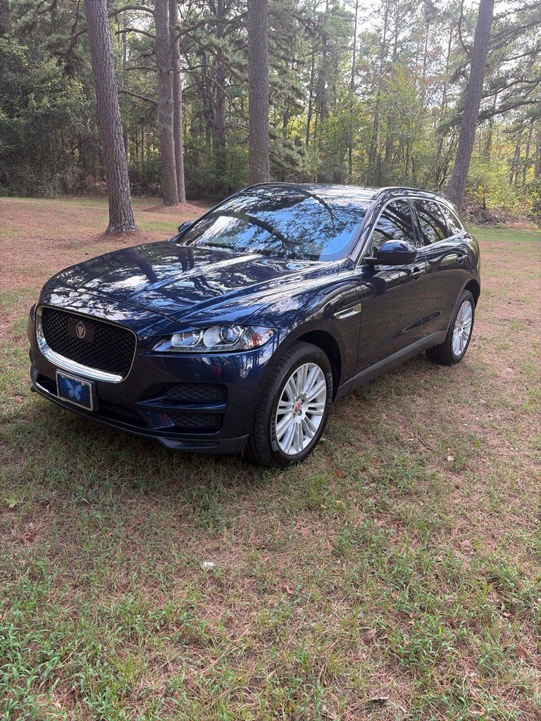 Used 2019 Jaguar F-Pace Premium with VIN SADCJ2GX3KA369624 for sale in Danville, AR